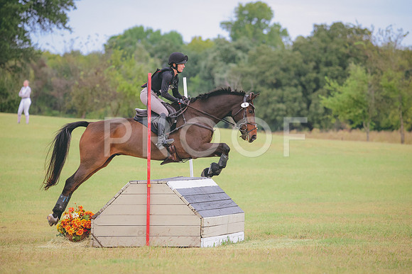 RWP_3819