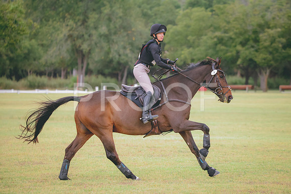 RWP_3815