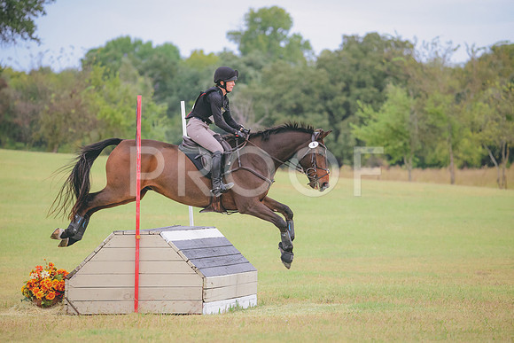 RWP_3821
