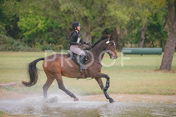 RWP_3823