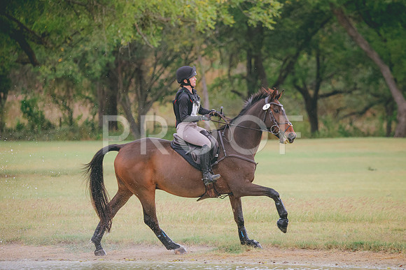 RWP_3827
