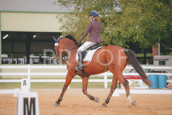 RWP_1936