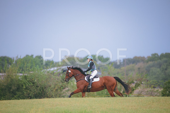 RWP_3839