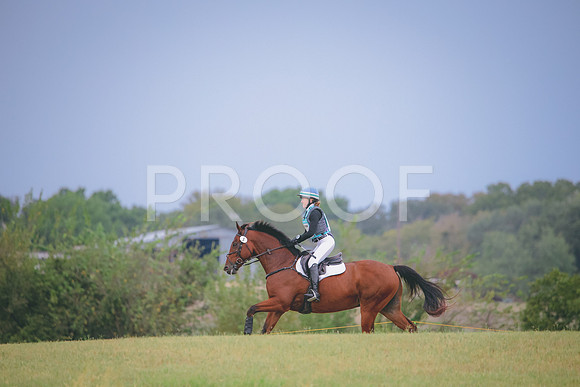 RWP_3838