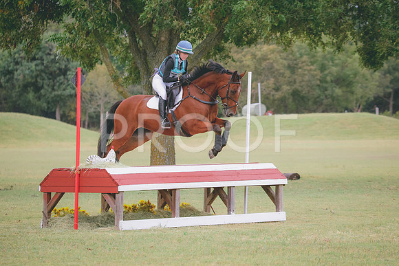 RWP_3856