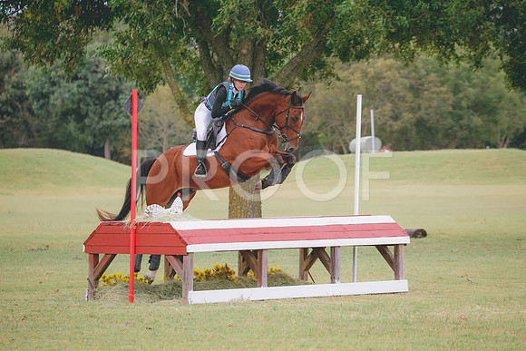 RWP_3854