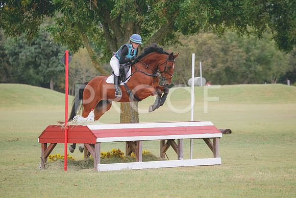 RWP_3855
