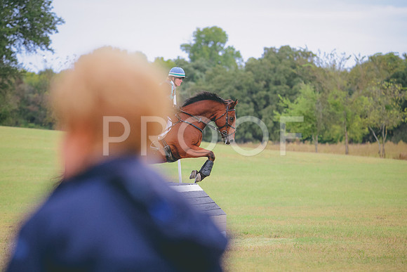 RWP_3868