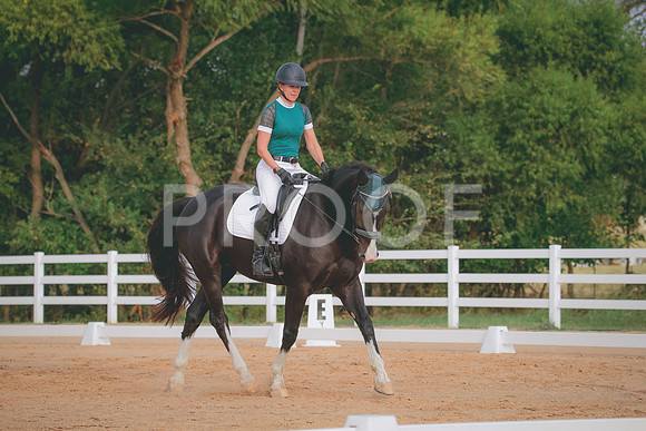 RWP_1996