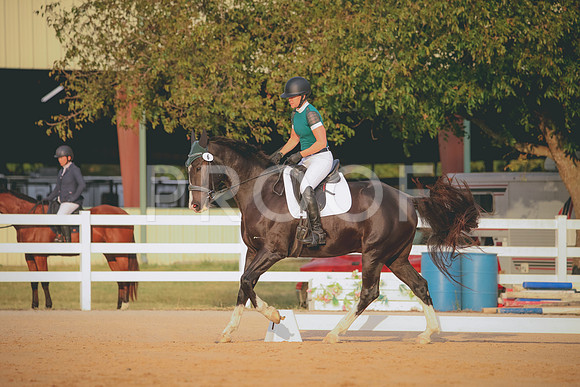 RWP_2004