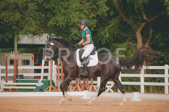 RWP_2010