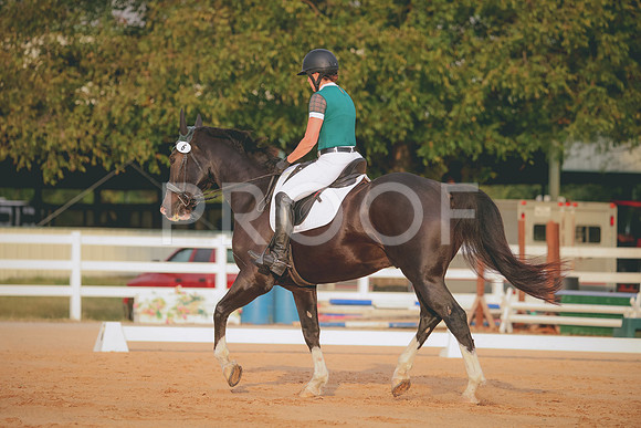 RWP_2026