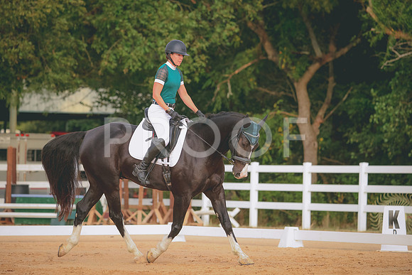 RWP_2035
