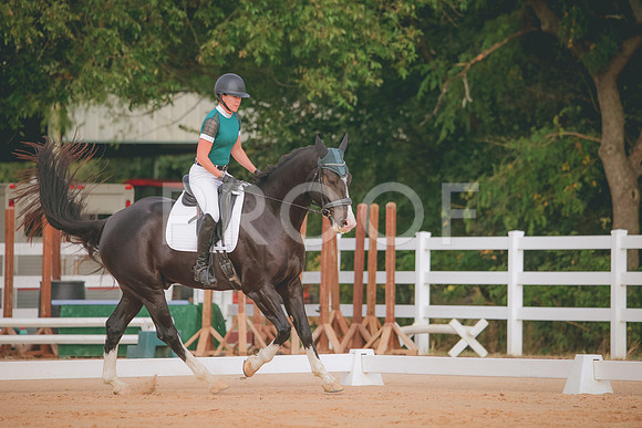 RWP_2038