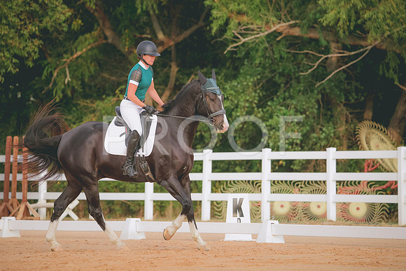 RWP_2048
