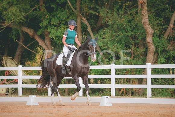 RWP_2044