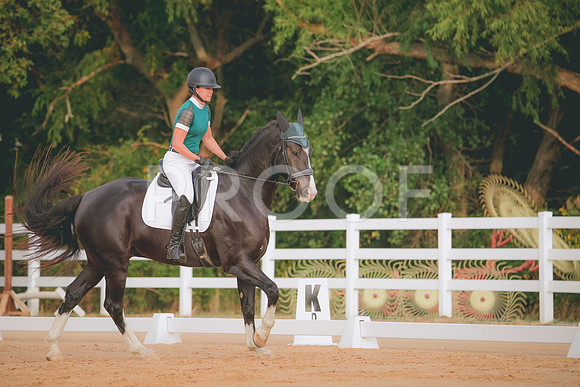 RWP_2049