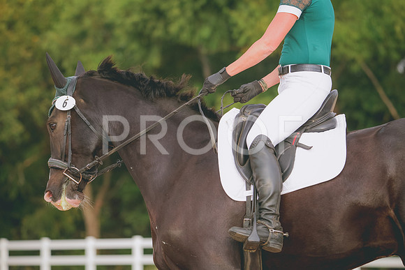 RWP_2056