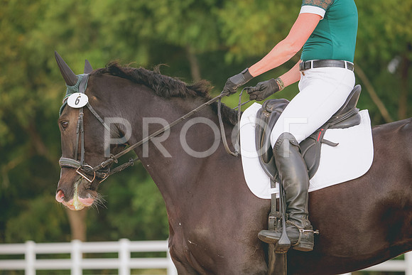 RWP_2055
