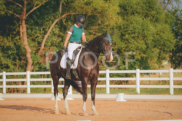 RWP_2064