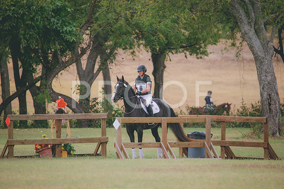 RWP_3876