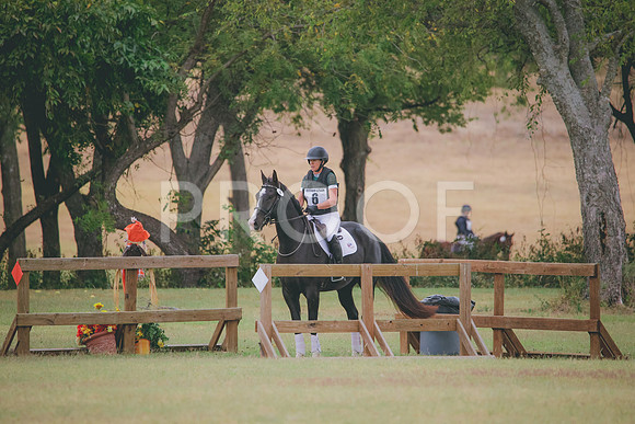 RWP_3875