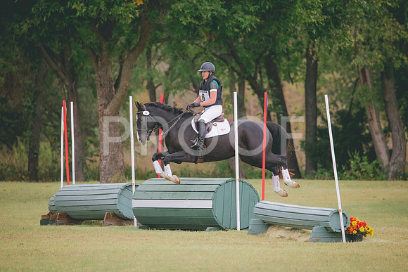 RWP_3880