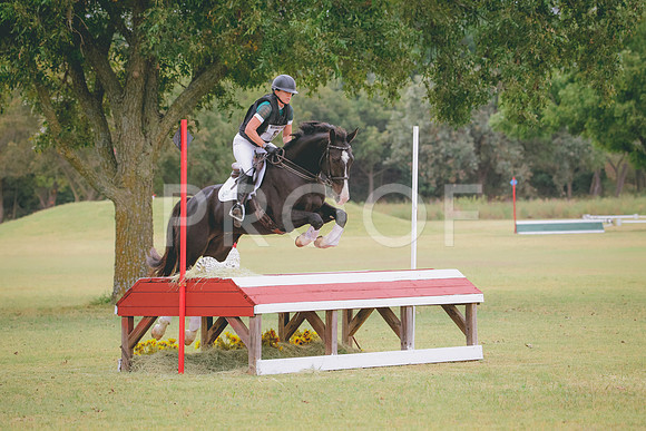 RWP_3893