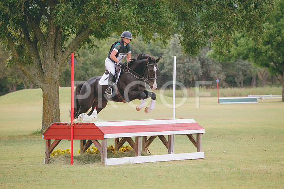 RWP_3894