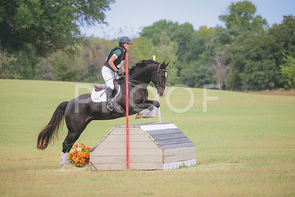 RWP_3899