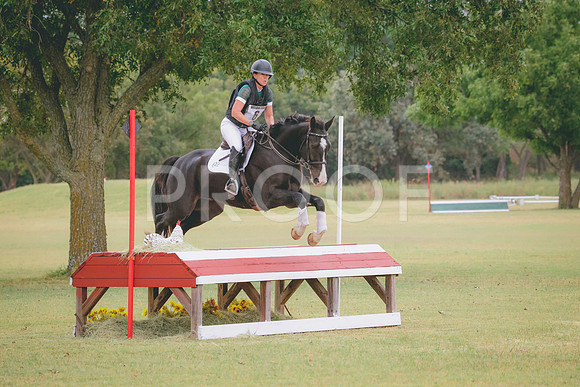 RWP_3895