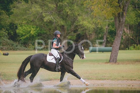 RWP_3908