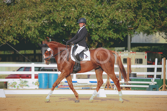 RWP_2082
