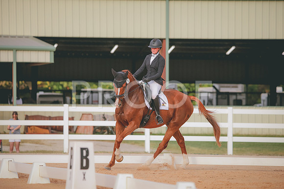 RWP_2087