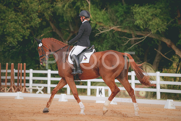 RWP_2101