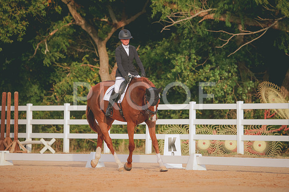 RWP_2106