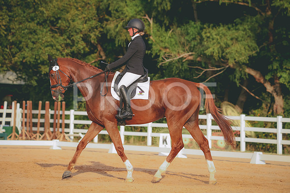 RWP_2109