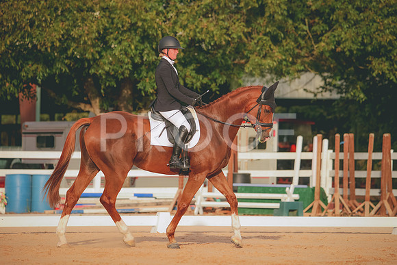 RWP_2113