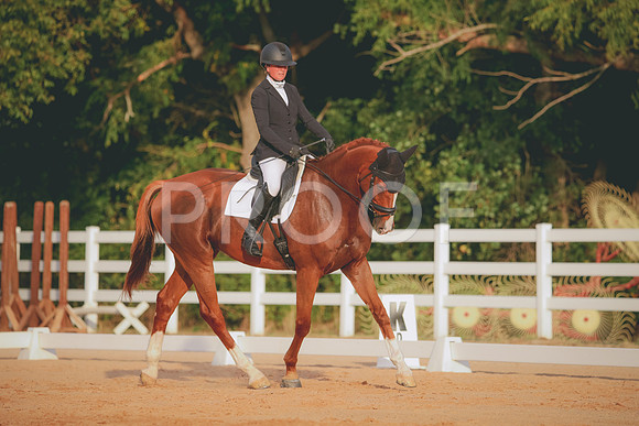 RWP_2116