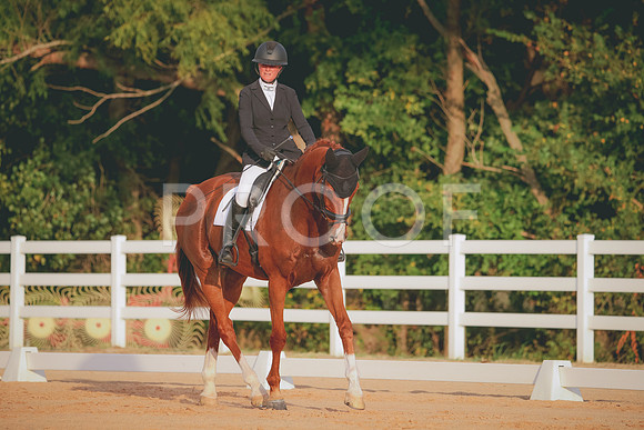RWP_2119