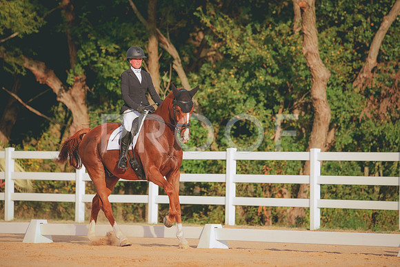 RWP_2128