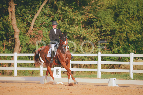 RWP_2131