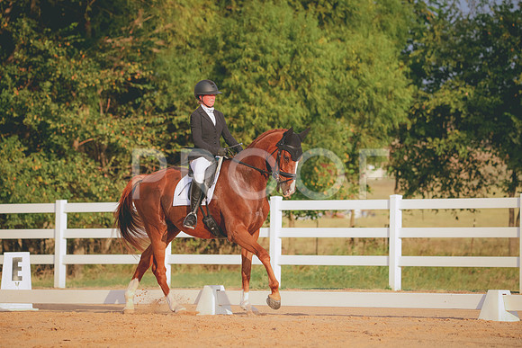 RWP_2133