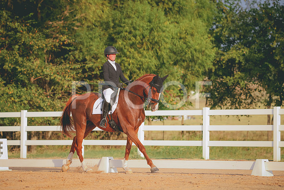 RWP_2134