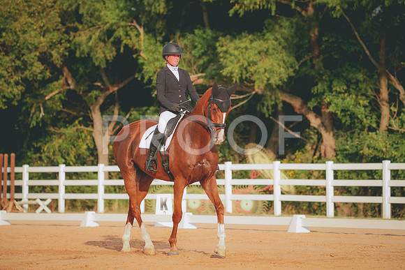 RWP_2139
