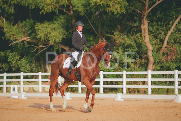 RWP_2142