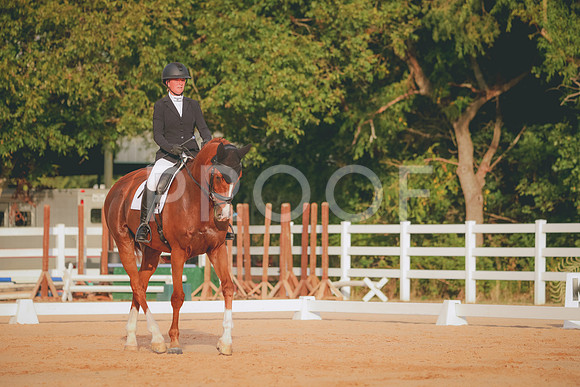 RWP_2135