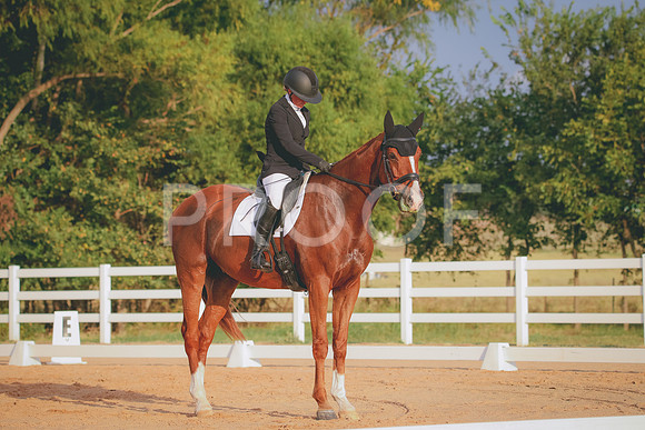 RWP_2145