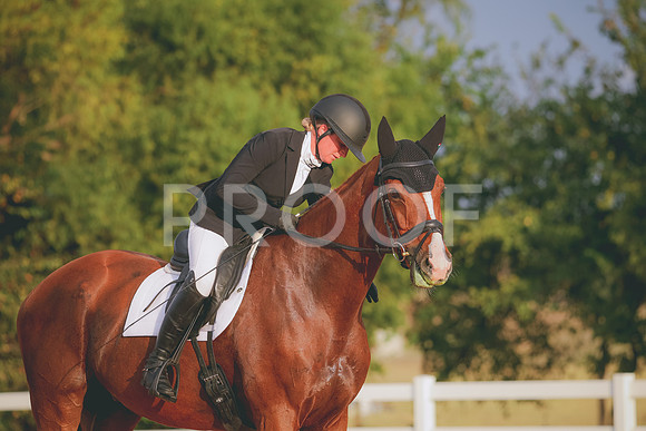 RWP_2149