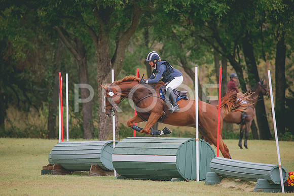 RWP_3910